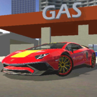 完美汽车驾驶游戏 v1.4